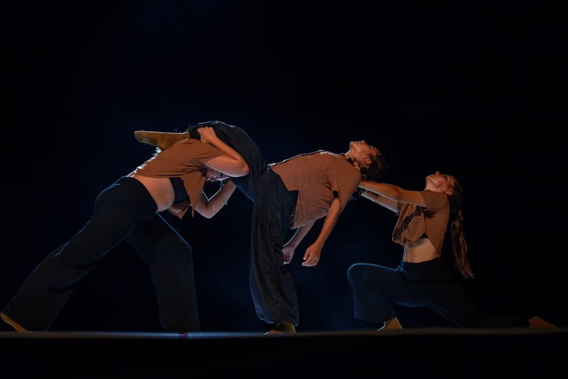 EMOTION II - Foto 23